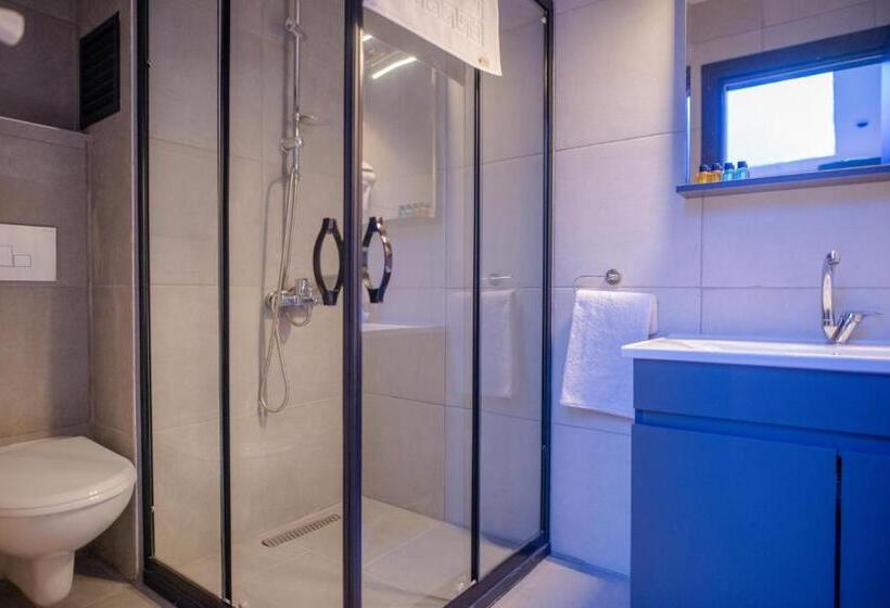 スタンダードルーム, Zarasuit