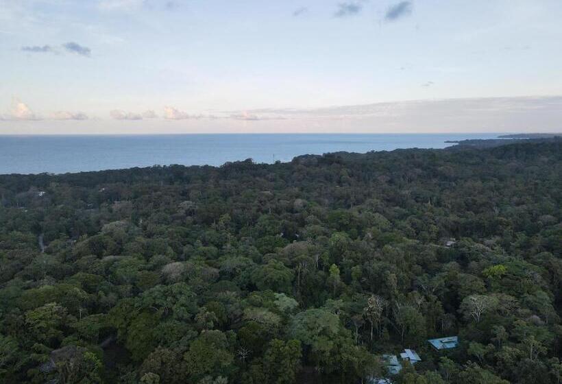 וילה בת 3 חדרי שינה, Villas Y Glampings Mya  Puerto Viejo, Limon, Cr