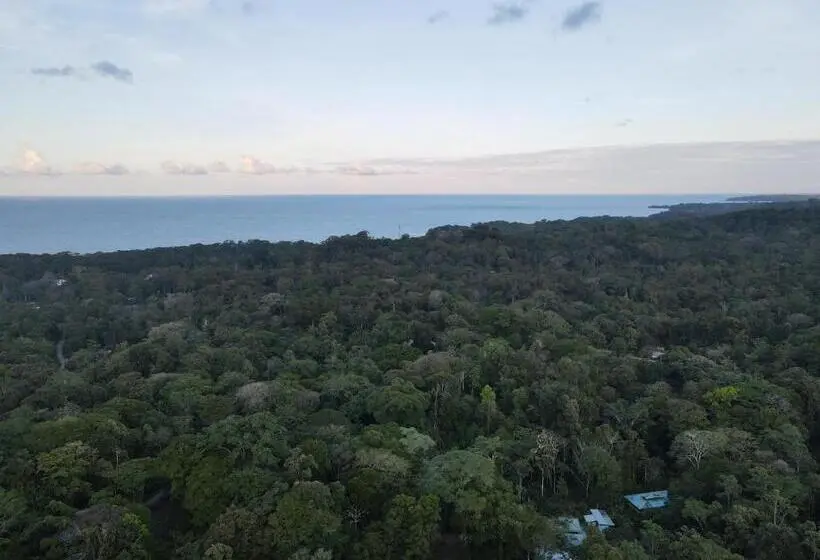 スリーベッドルーム　ヴィラ, Villas Y Glampings Mya  Puerto Viejo, Limon, Cr