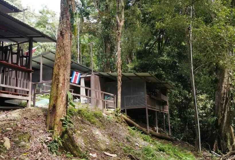 スリーベッドルーム　ヴィラ, Villas Y Glampings Mya  Puerto Viejo, Limon, Cr