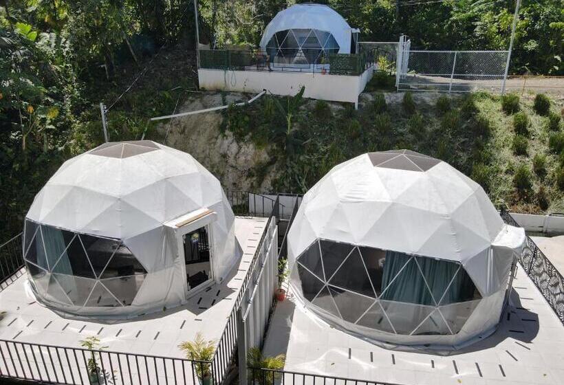 Standard Tent, Villas Y Glampings Mya  Puerto Viejo, Limon, Cr