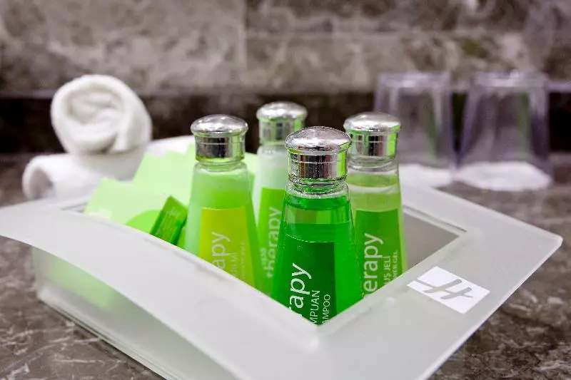 اتاق استاندارد با تخت بزرگ برای معلولان, Holiday Inn Gaziantep, An Ihg