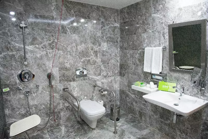اتاق استاندارد با تخت بزرگ برای معلولان, Holiday Inn Gaziantep, An Ihg