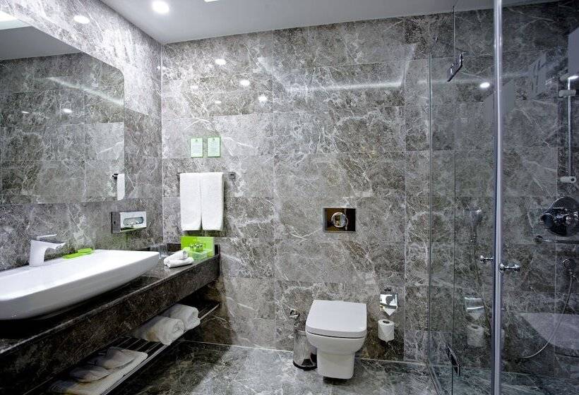 اتاق استاندارد, Holiday Inn Gaziantep, An Ihg