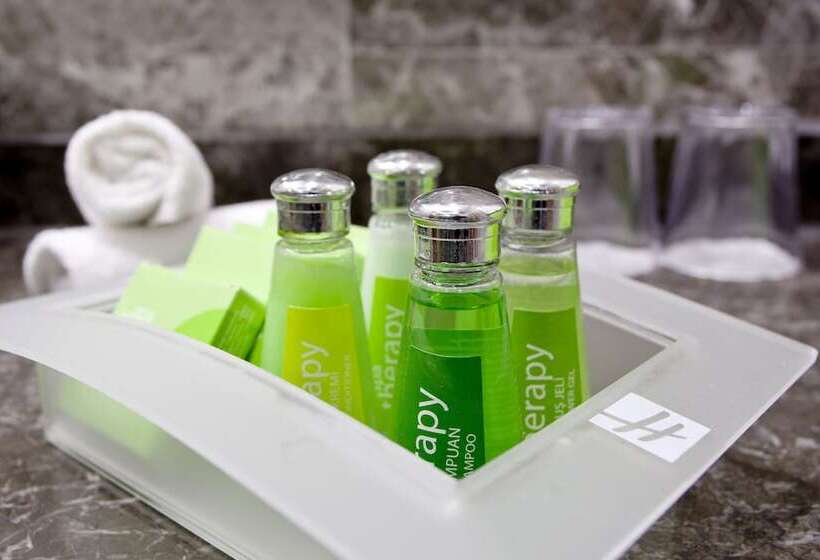 اتاق استاندارد, Holiday Inn Gaziantep, An Ihg