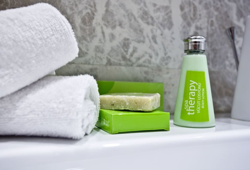 اتاق استاندارد, Holiday Inn Gaziantep, An Ihg