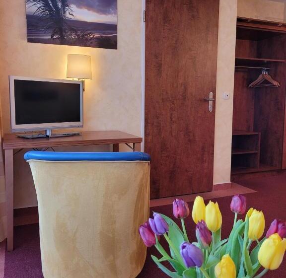 Номер Стандарт, Np Hotel Wissers