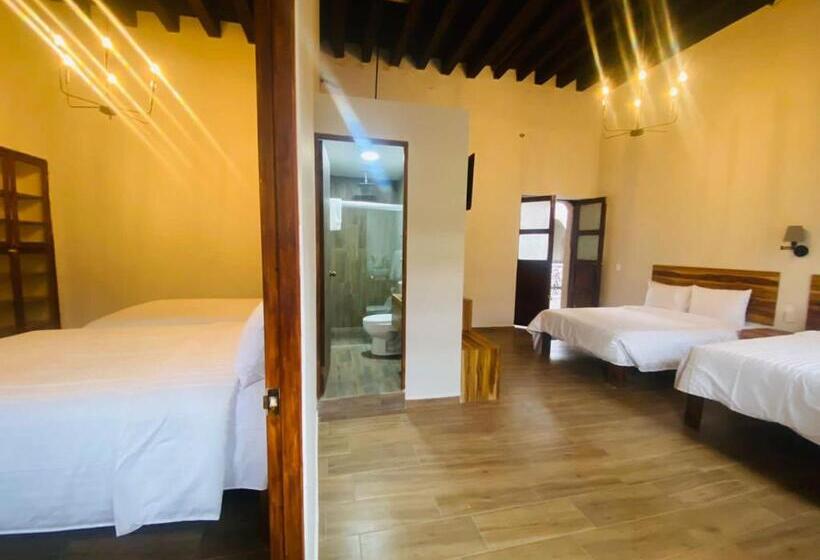 חדר משפתחתי סופריור, Palacio De Las Rosas