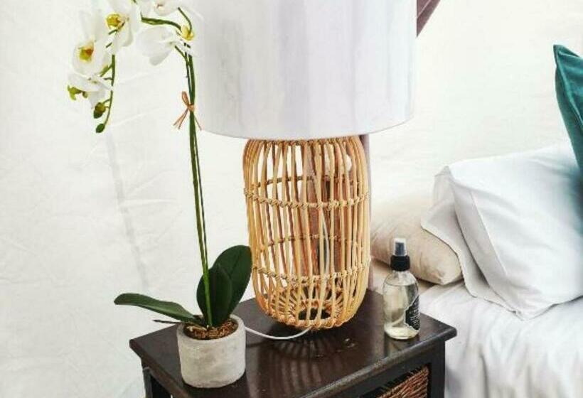 جناح ديلوكس, The Bubble Valley Clarens