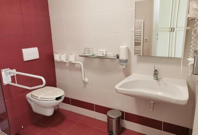 חדר סטנדרט מותאם לאדם עם מוגבלויות, Calimbra Wellness Hotel Superior