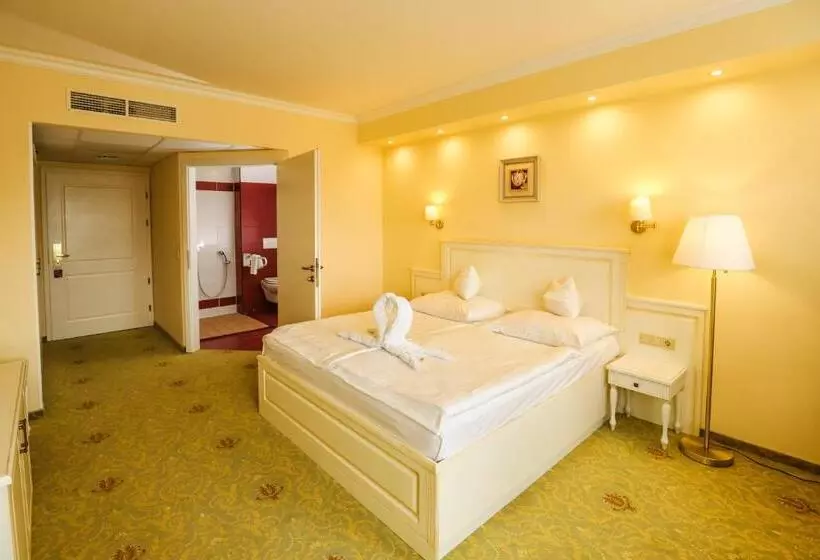 身障者適用スタンダードルーム, Calimbra Wellness Hotel Superior
