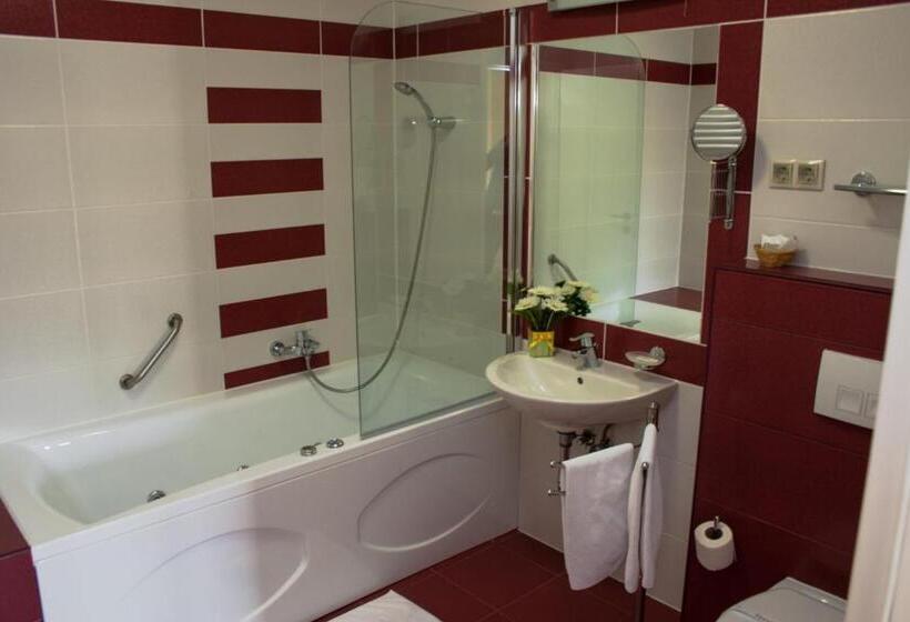 חדר סטנדרט עם מרפסת, Calimbra Wellness Hotel Superior