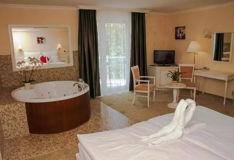 ハイドロマッサージバス付きスイート, Calimbra Wellness Hotel Superior