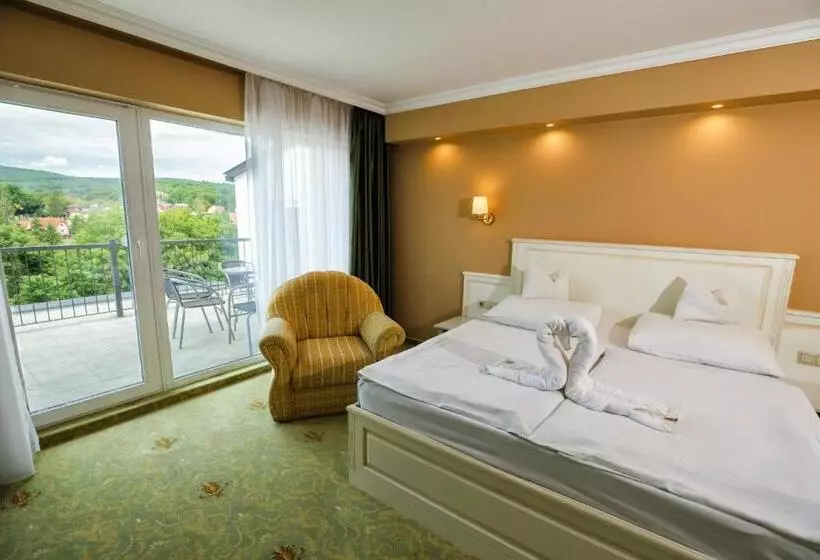 景色の見える一ベッドルームアパートメント, Calimbra Wellness Hotel Superior