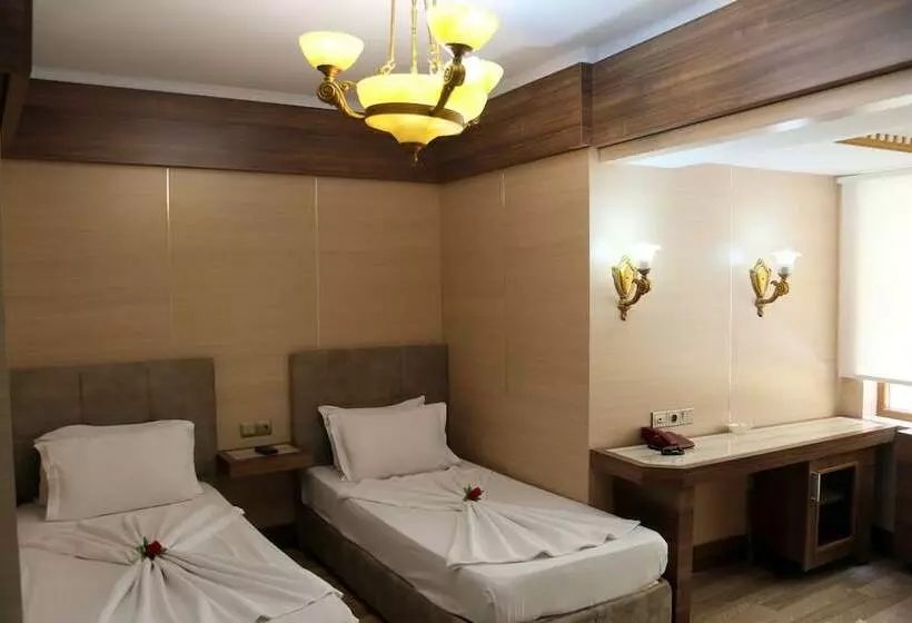 اتاق استاندارد, Basmacioglu Hotel   Special Class