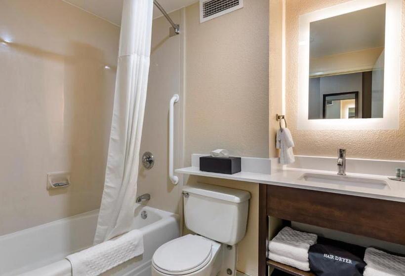 غرفة قياسية سرير كينج, Charleston Tower