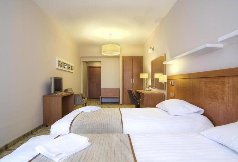 اتاق استاندارد, Cerkezkoy Business