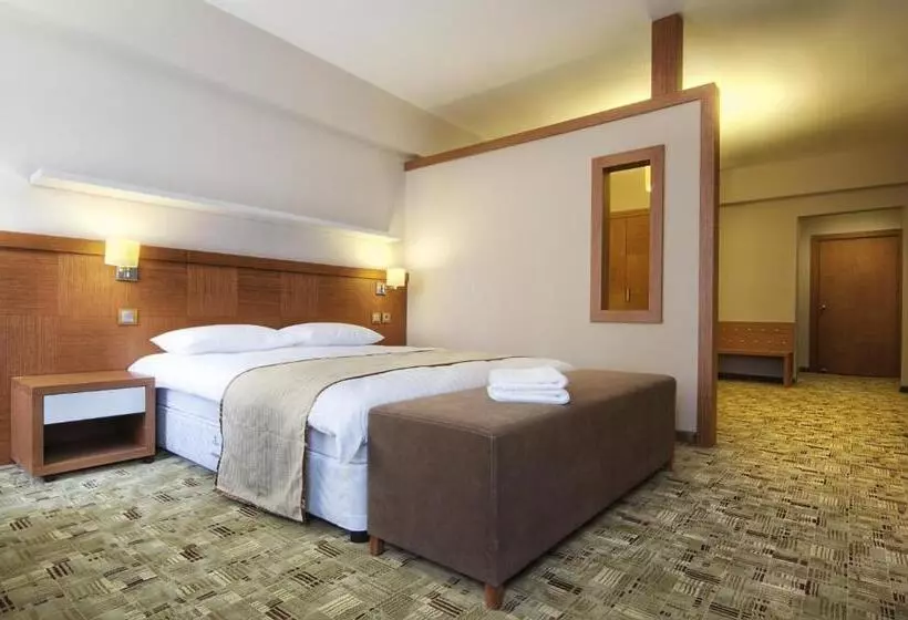 Standard-huone, Cerkezkoy Business