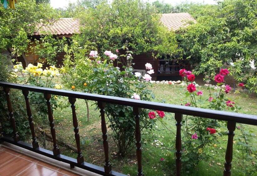 آپارتمان 2 خوابه, Cirali