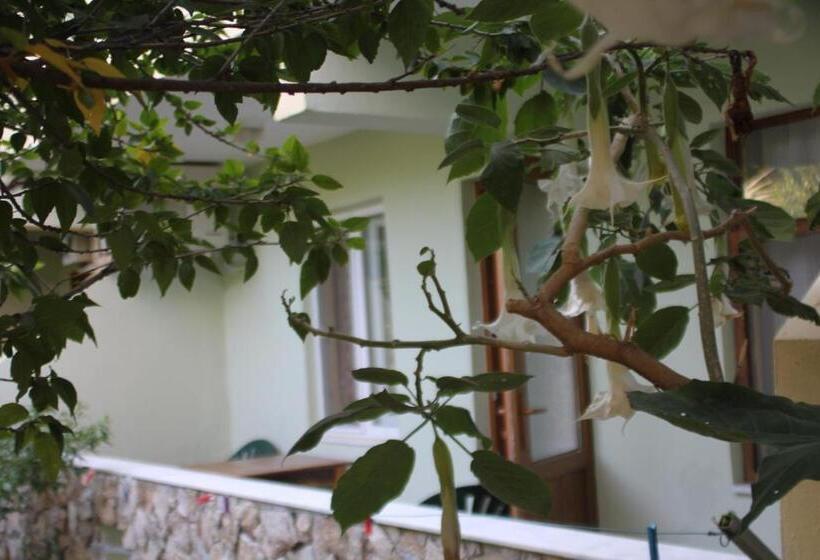 اتاق استاندارد سه نفره, Cirali