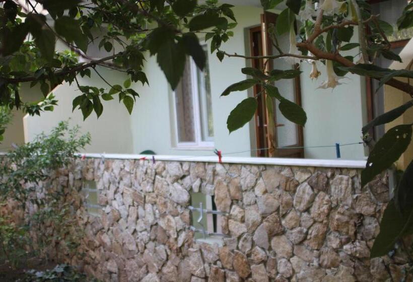 اتاق استاندارد, Cirali