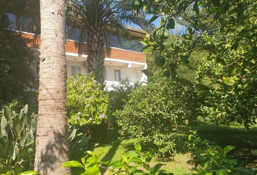 اتاق خانوادگی, Cirali