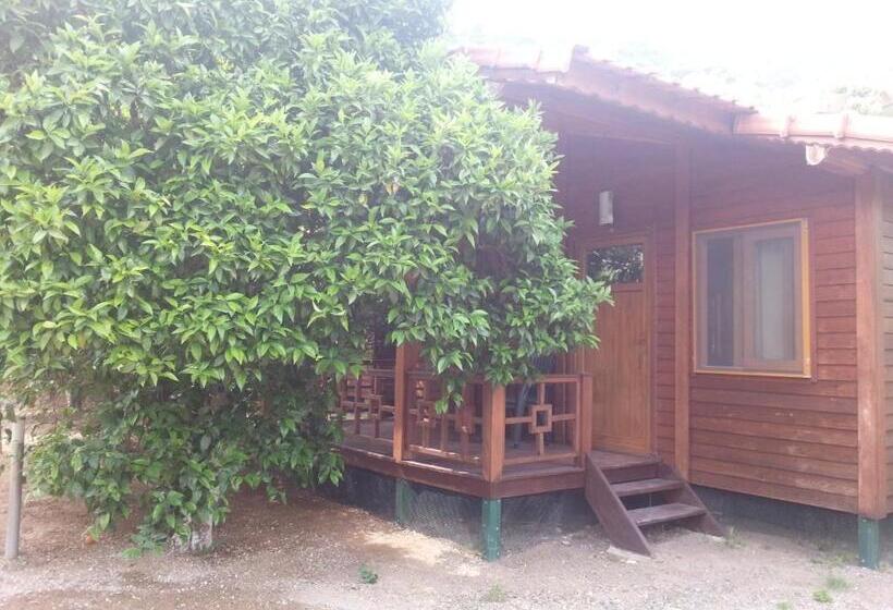 بانگلوی استاندارد 2 خوابه, Cirali