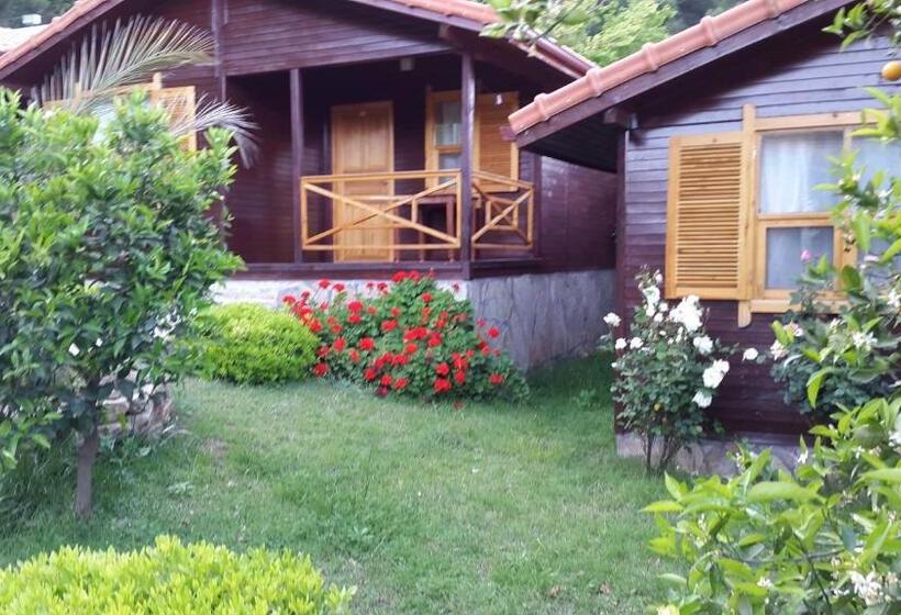 بانگلوی استاندارد, Cirali