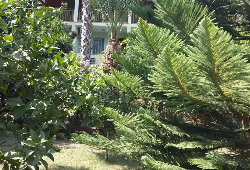 اتاق استاندارد یک نفره, Cirali