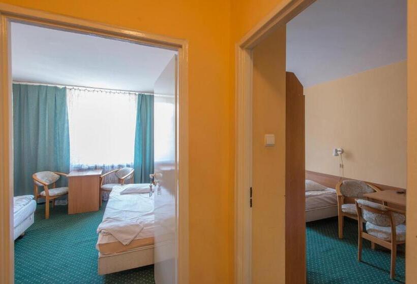 חדר סטודיו סטנדרד, Rok