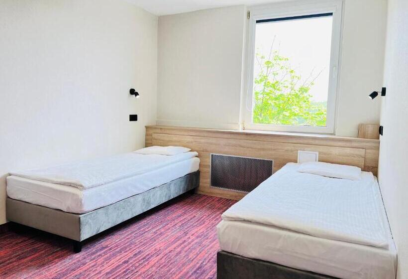 סטודיו דלוקס, Rok