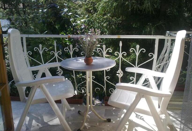 غرفة سوبيريور, Park Hotel Amfora