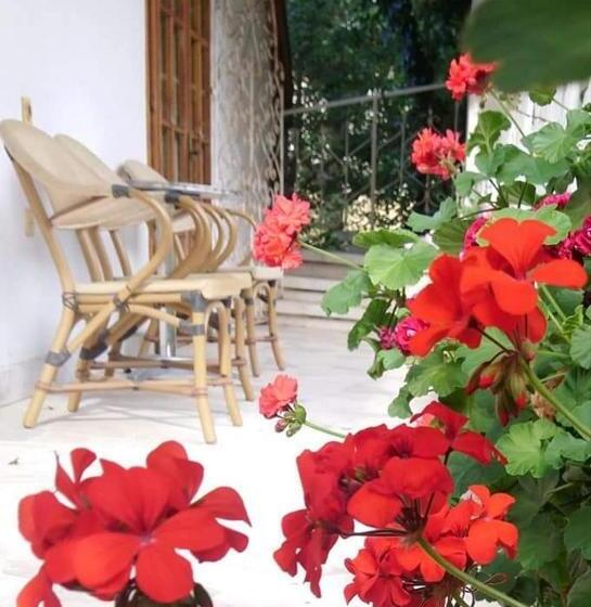 جناح عائلي, Park Hotel Amfora