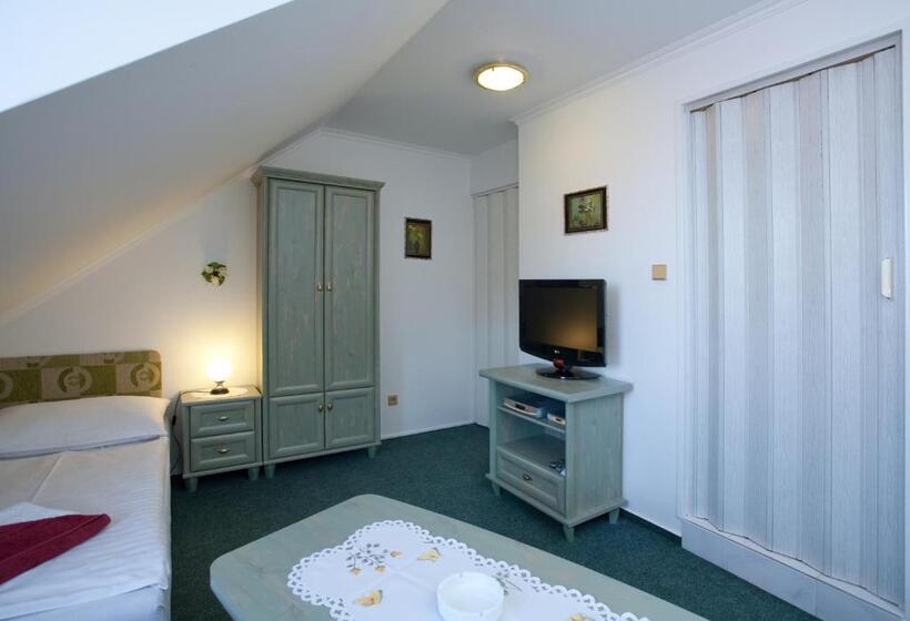 Номер Стандарт Индивидуальный, Pension Minor