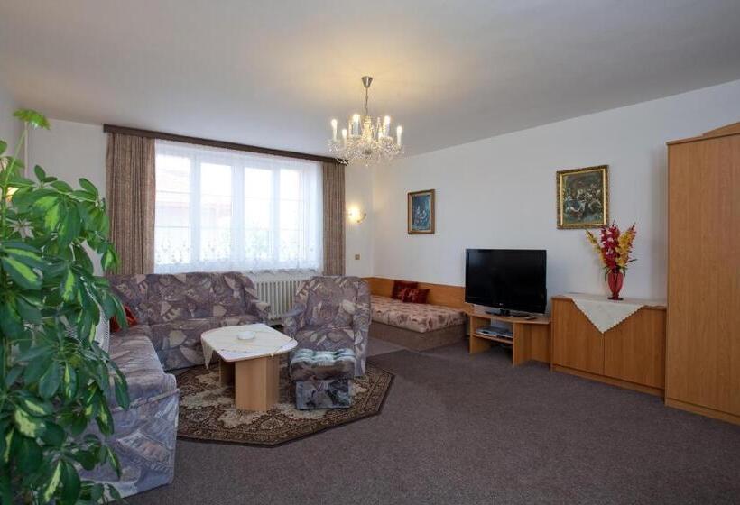 Люкс, Pension Minor