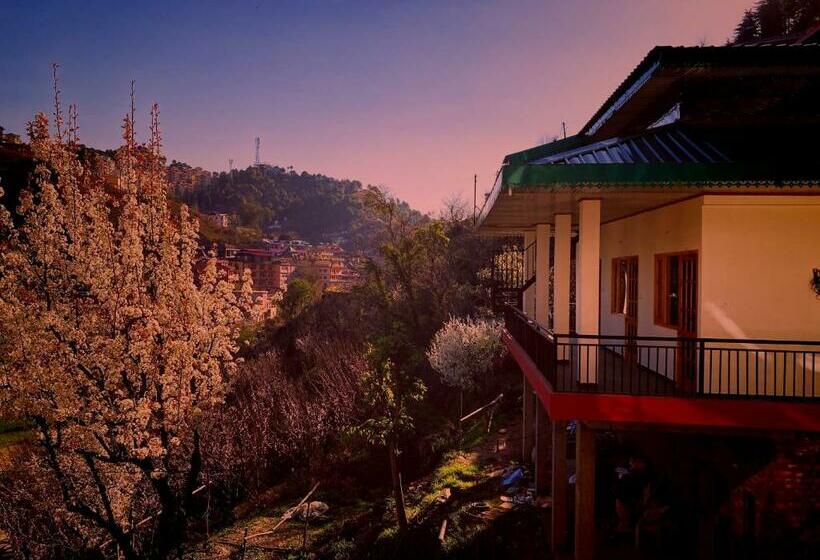 Номер Стандартный с Видом, Orchid Homestay