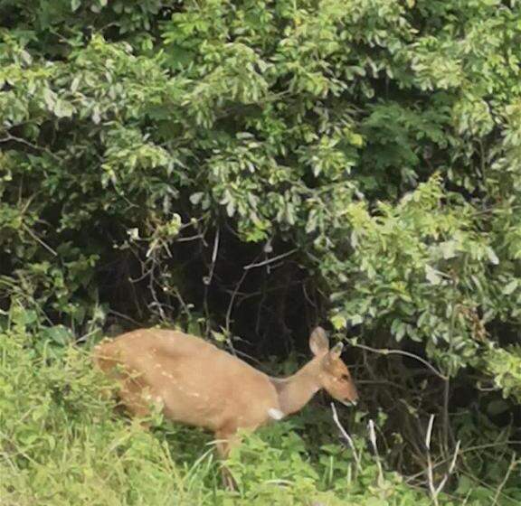 Номер Deluxe Вид на Море, The Beach Bungalow
