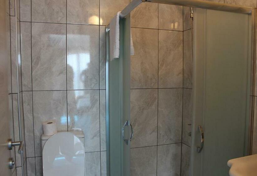 Номер Стандарт Вид на Сад, Silver Continent Hostel