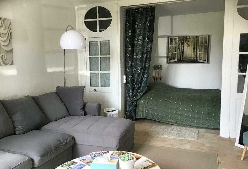 スタンダードルーム, Les Tamayas