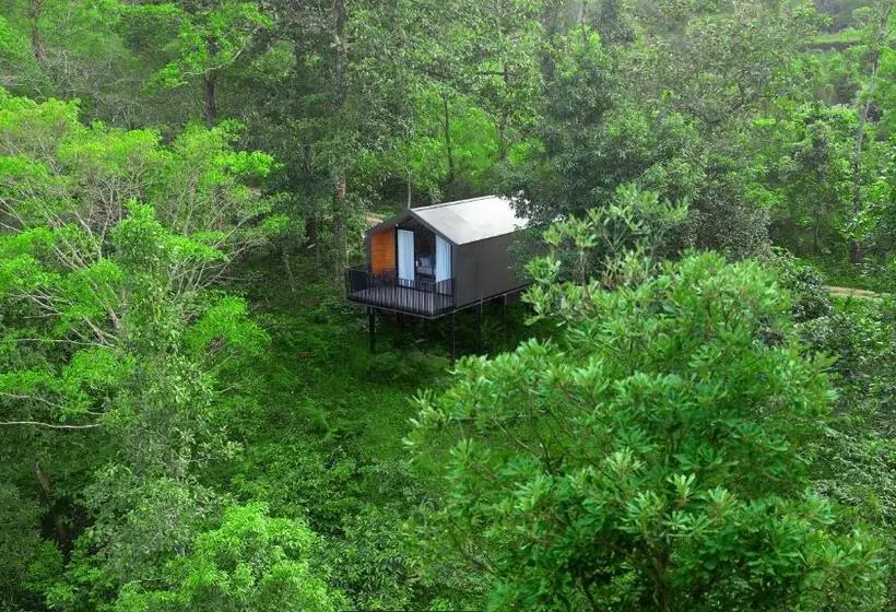 シャレー1寝室, Flora Vythiri Resort Wayanad