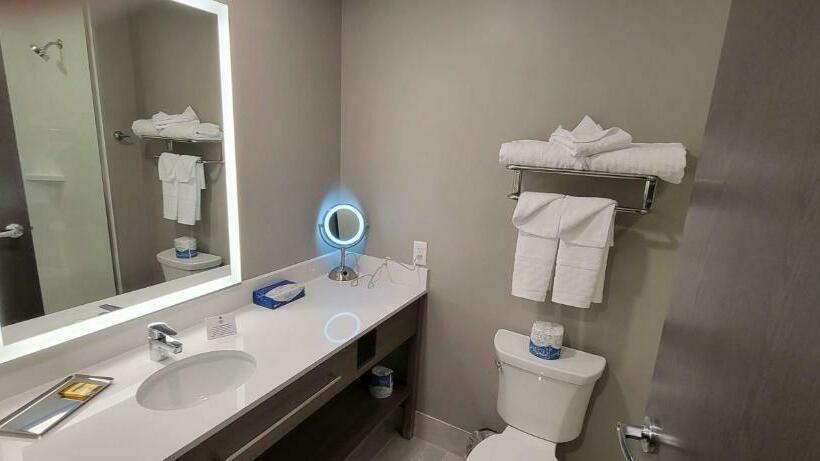 스위트 킹사이즈 침대, Best Western Plus Grand Rapids Mn