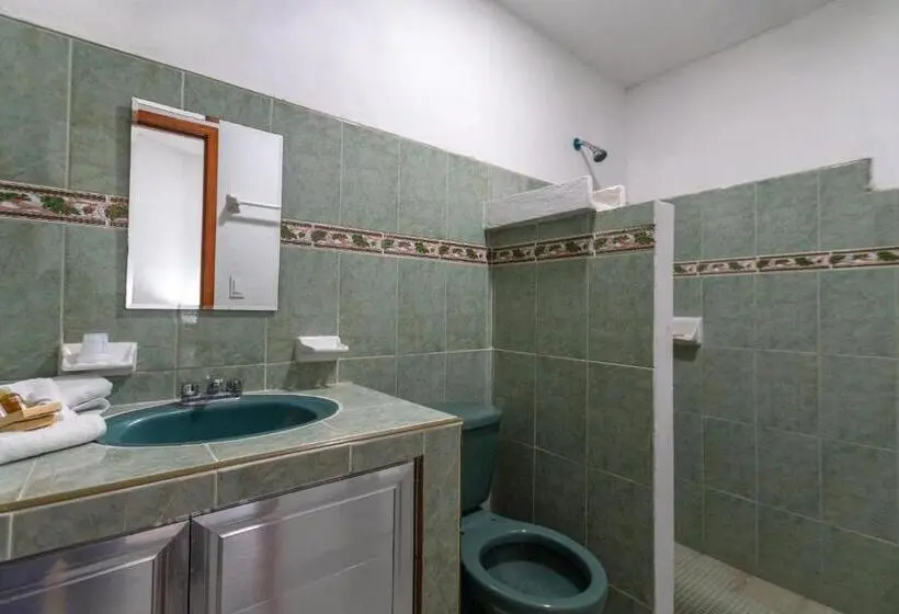 Quarto standart individual, Mérida 62