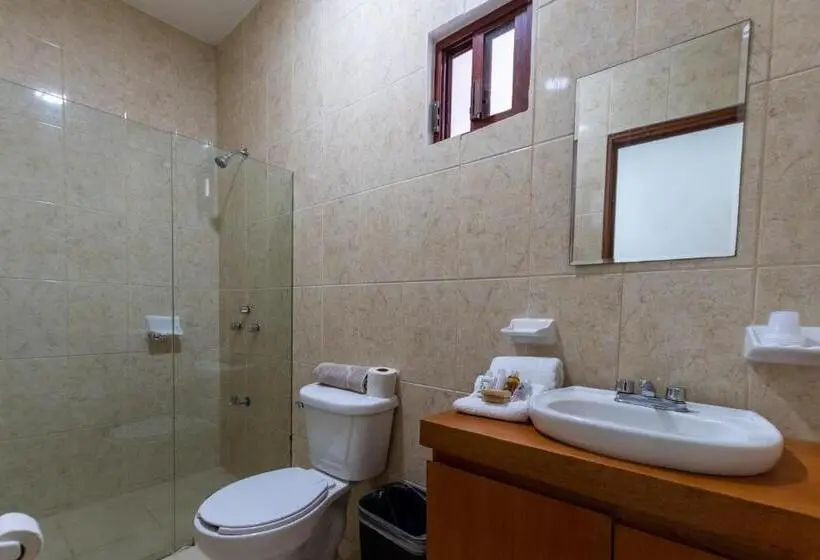 Quarto standard, Mérida 62
