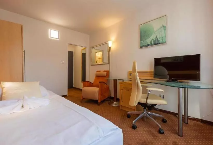 スタンダードシングルルーム, Active & Wellness Hotel Subterra