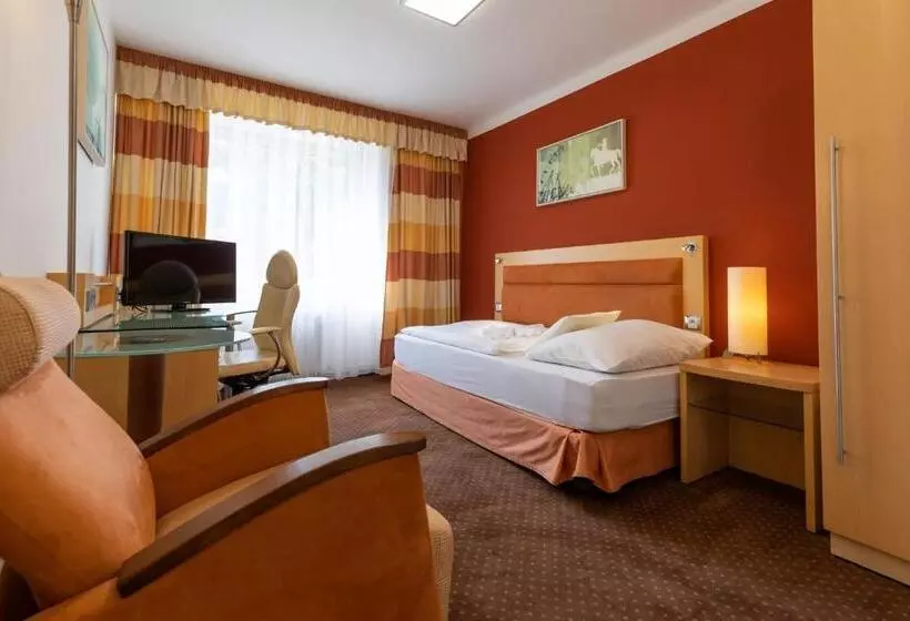 スタンダードシングルルーム, Active & Wellness Hotel Subterra