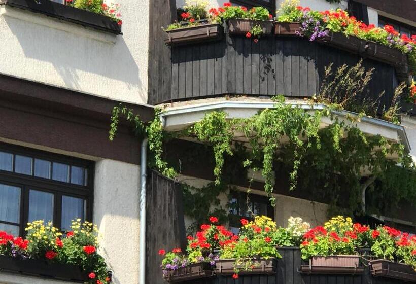 1ベッドルームのデラックスアパートメント, Antik Hotel Sofia