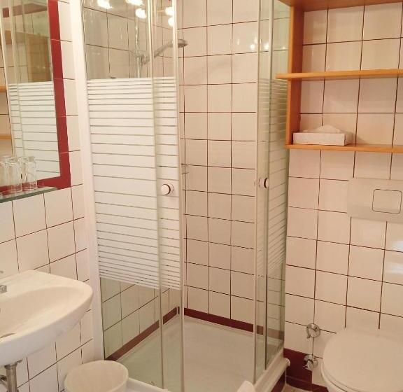 חדר סטנדרט יחיד, Pension Müller Gartner