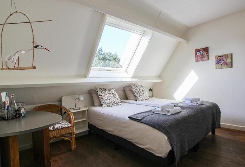 غرفة قياسية, 1900