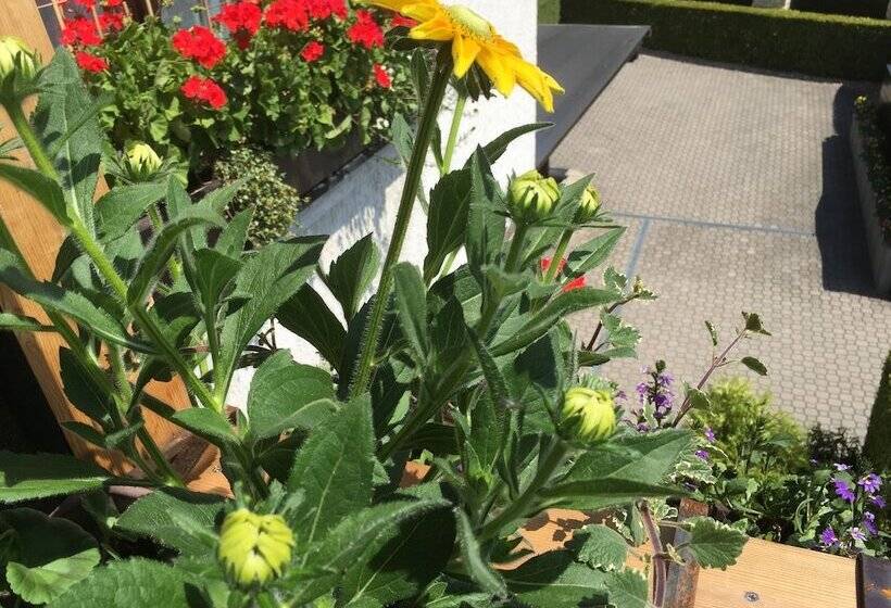 ガーデンビューデラックスルーム, Antik Hotel Sofia