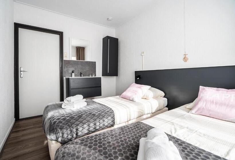 Студия Стандарт, Bruist